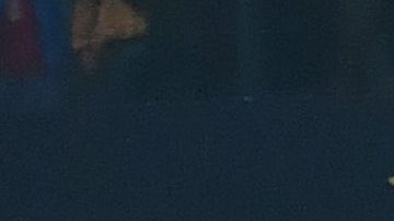 Toluca goleó en casa.