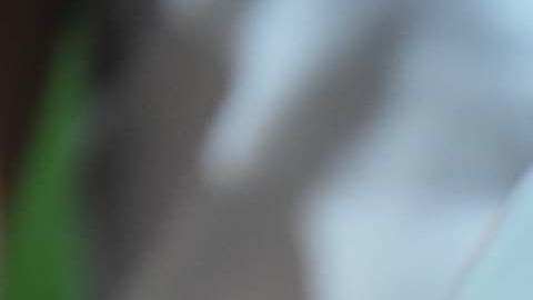 Ciudad Juárez, Chihuahua, 19 de febrero de 2020. Balon de futbol Voit Loxus, durante el juego de vuelta de los Cuartos de Final del torneo Apertura 2019 de la Copa MX, entre Bravos de Juárez y Dorados de Sinaloa, celebrado en el estadio Olímpico Benito Juárez. Foto: Imago7/Marco Tapia