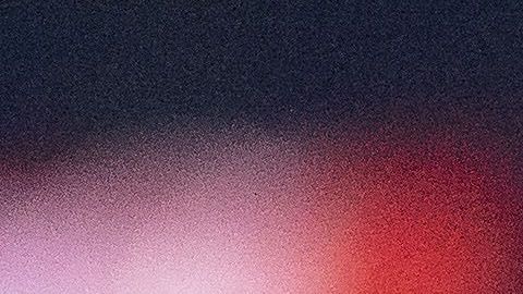 Tena ha sido criticado por su sistema.