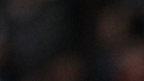 Miguel Herrera discutiendo con el árbitro.