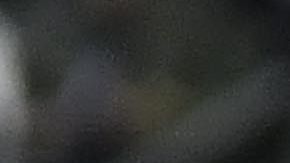 Luis Fuentes celebrando su anotación con las Águilas.