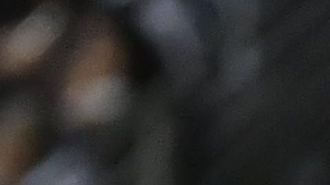 Guillermo Ochoa está teniendo una gran campaña con el América.