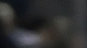 La locura de Guzmán y Gignac tras el agónico gol.