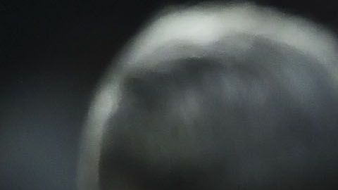 Los goles fueron de Leonardo Fernández y Michael Estrada.