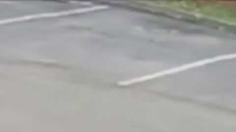 Fotograma del video de seguridad donde se ven a los tres sospechosos robando a un hombre en Hialeah con la técnica del "robo del abrazo".