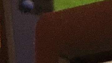 USCIS publicó nuevos formularios para la regla de "carga pública".