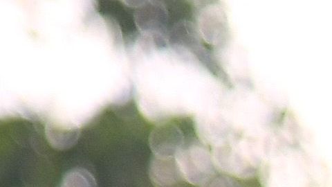 Javier Hernández disfruta su nueva vida.