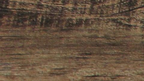 Las tiradas de tarot online ¿son confiables?