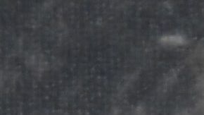 La pareja ha asistido a varios eventos juntos.