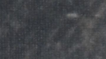 La pareja ha asistido a varios eventos juntos.