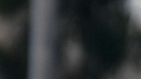 La nueva dupla del Galaxy se divierte en su tiempo libre.