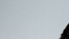 José Ron y Donald Trump.