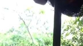Vista de una de las embarcaciones de Jungle Cruise.