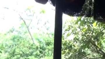 Vista de una de las embarcaciones de Jungle Cruise.