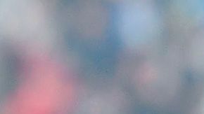 El fanático bianconero no se pierde ningún partido.