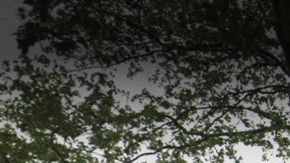 Keltch Park, El Bronx