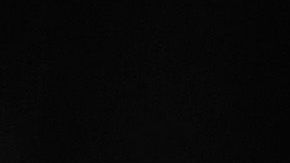 Kobe Bryant falleció junto a su hija y otras siete personas que lo acompañaban.