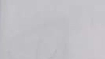 El menor título su nota:  “Atlético de San Luis derrota a Gallos Blancos en el clásico del centro”.