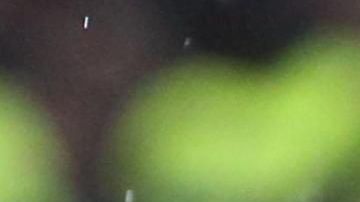 Lautaro Martínez es el jugador más determinante del Inter de Milán esta temporada.