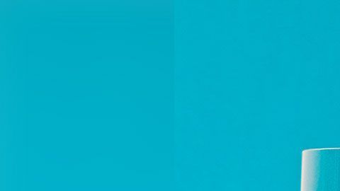 Todo sobre los mitos relacionados al consumo de lactosa en la dieta adulta.