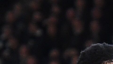 Timo Werner, uno de los mejores delanteros en la actualidad europea.