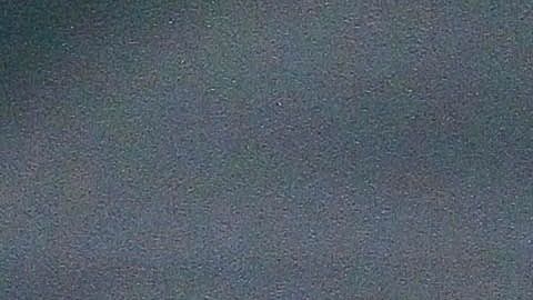 Igor Lichnovsky asegura que necesitan tiempo para adaptarse al estilo de Siboldi.