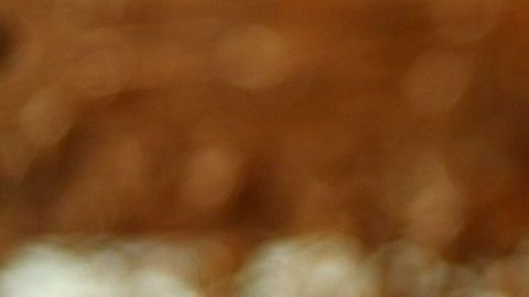 Linaza- alexdante en Pixabay