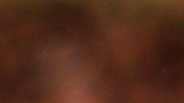 Las llamas son utilizadas en terapias para ancianos, personas con autismo y diversas enfermedades.