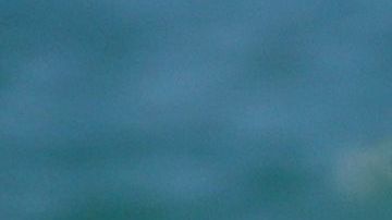 Maluma y Prince Royce pasan tiempo juntos en Miami, Florida.