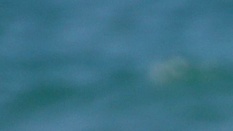 Maluma y Prince Royce pasan tiempo juntos en Miami, Florida.