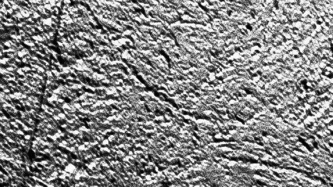 Los fantasmas tienen una explicación científica.