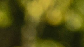 Las relaciones van transformándose según la época en la que vivimos.