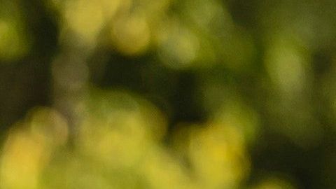 Las relaciones van transformándose según la época en la que vivimos.