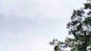 Si algo hace bella a una casa, aunque no sea una mansión, son sus incomparables columnas.