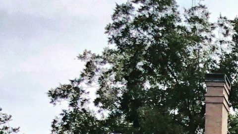 Si algo hace bella a una casa, aunque no sea una mansión, son sus incomparables columnas.