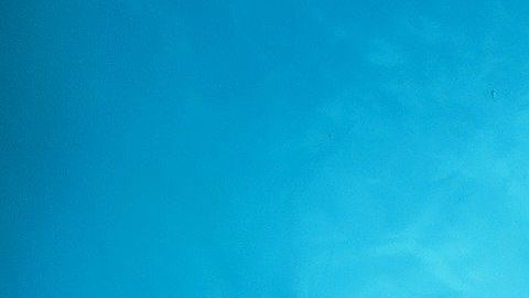 La manta raya oceánica gigante no es rosada.