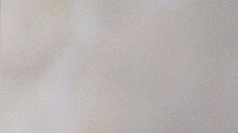 La tenista rusa anunció su retiro el 26 de febrero del 2020.