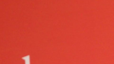 María Celeste Arrarás