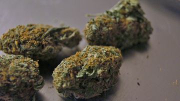 Marihuana-pxhere