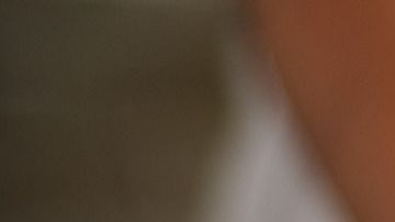 masa maíz-Xarhini-C