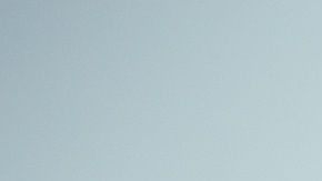 Los animales de compañía deben tener cuidado ante el efecto negativo de la radiación solar