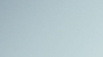 Los animales de compañía deben tener cuidado ante el efecto negativo de la radiación solar