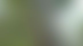 Jared Noiman confesó los hechos a la policía.