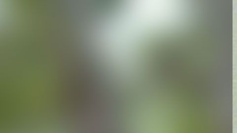 Jared Noiman confesó los hechos a la policía.