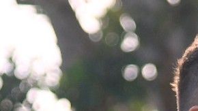 Habrá partidos que harán eco no solo en Estados Unidos sino en otros países.