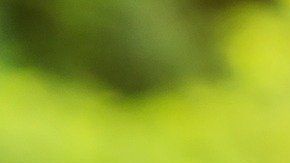 Haz crecer tu dinero con esta ritual casero.