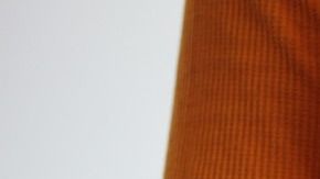 Conoce los detalles sobre la desintoxicación casera con sábila y limón.