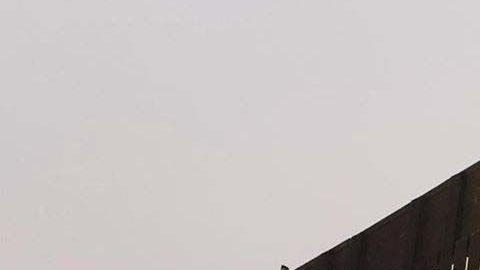 El inmigrante “se asustó” al intentar cruzar la valla de seguridad.