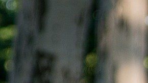 No tienes por qué pasar todo ese tiempo en cama.