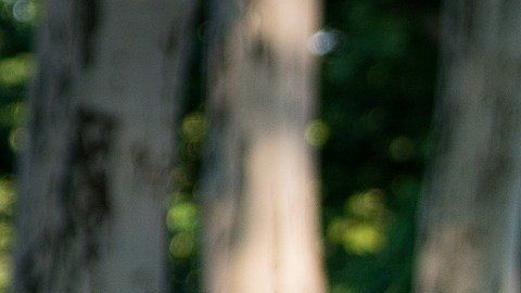 No tienes por qué pasar todo ese tiempo en cama.